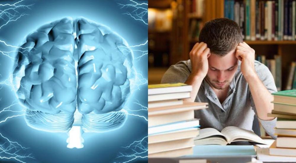 Как чтение книг воздействует на мозг: 5 научных выводов